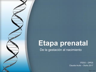 Etapa prenatal
De la gestación al nacimiento
ITESO – DPES
Claudia Arufe – Otoño 2017
 