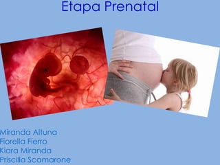 Etapa Prenatal




Miranda Altuna
Fiorella Fierro
Kiara Miranda
Priscilla Scamarone
 