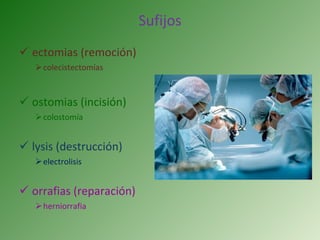 Sufijos ectomias (remoción) colecistectomías ostomias (incisión) colostomía lysis (destrucción) electrolisis orrafias (reparación) herniorrafia 