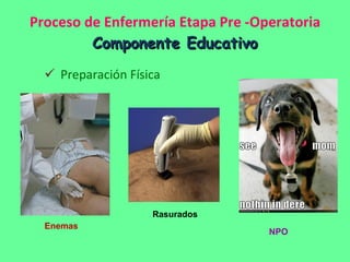 Proceso de Enfermería Etapa Pre -Operatoria Componente Educativo Preparación Física Enemas Rasurados NPO 