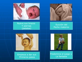 Nueve sus brazos  Y piernas (patalea) Succión del Pecho materno Empieza a dar sus  Primeros pasos Predomina el juego y  La fantasía 