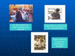 En esta etapa el  Niño ingresa a la escuela Desarrolla su memoria Su razonamiento Desarrolla sus Funciones  Afectivas y  sociales 
