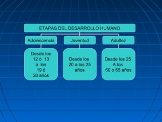 ETAPAS DEL DESARROLLO HUMANO

Adolescencia   Juventud        Adultez

 Desde los
  12 ó 13      Desde los     Desde los 25
   a los       20 a los 25      A los
    19 ó          años       60 o 65 años
  20 años
 