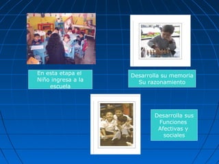 En esta etapa el
Niño ingresa a la
escuela
Desarrolla su memoria
Su razonamiento
Desarrolla sus
Funciones
Afectivas y
sociales
 