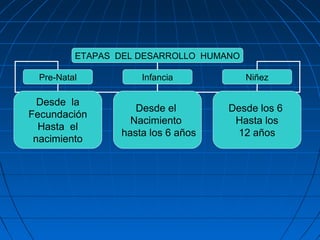 ETAPAS DEL DESARROLLO HUMANO
Pre-Natal Infancia Niñez
Desde la
Fecundación
Hasta el
nacimiento
Desde el
Nacimiento
hasta los 6 años
Desde los 6
Hasta los
12 años
 