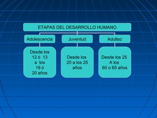 ETAPAS DEL DESARROLLO HUMANO
Adolescencia Juventud Adultez
Desde los
12 ó 13
a los
19 ó
20 años
Desde los
20 a los 25
años
Desde los 25
A los
60 o 65 años
 