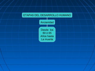 ETAPAS DEL DESARROLLO HUMANO
Ancianidad
Desde los
60 ó 65
Años hasta
La muerte
 