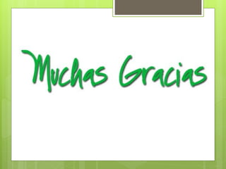 Etapas de-auditoria-indicadores (1)