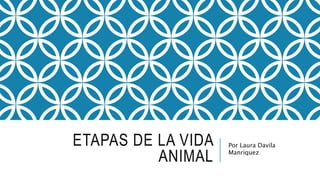 ETAPAS DE LA VIDA
ANIMAL
Por Laura Davila
Manriquez
 