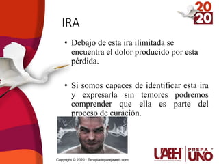 IRA
• Debajo de esta ira ilimitada se
encuentra el dolor producido por esta
pérdida.
• Si somos capaces de identificar esta ira
y expresarla sin temores podremos
comprender que ella es parte del
proceso de curación.
Copyright © 2020 · Terapiadeparejaweb.com
 