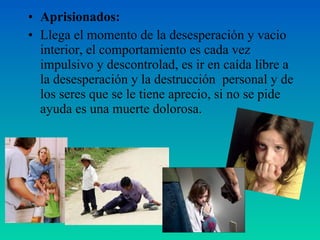 • Aprisionados:
• Llega el momento de la desesperación y vacio
interior, el comportamiento es cada vez
impulsivo y descontrolad, es ir en caída libre a
la desesperación y la destrucción personal y de
los seres que se le tiene aprecio, si no se pide
ayuda es una muerte dolorosa.
 