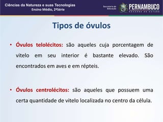 • Óvulos telolécitos: são aqueles cuja porcentagem de
vitelo em seu interior é bastante elevado. São
encontrados em aves e em répteis.
• Óvulos centrolécitos: são aqueles que possuem uma
certa quantidade de vitelo localizada no centro da célula.
Tipos de óvulos
Ciências da Natureza e suas Tecnologias
Ensino Médio, 2ªSérie
 