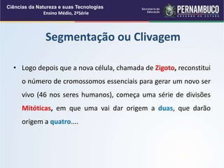 • Logo depois que a nova célula, chamada de Zigoto, reconstitui
o número de cromossomos essenciais para gerar um novo ser
vivo (46 nos seres humanos), começa uma série de divisões
Mitóticas, em que uma vai dar origem a duas, que darão
origem a quatro....
Segmentação ou Clivagem
Ciências da Natureza e suas Tecnologias
Ensino Médio, 2ªSérie
 
