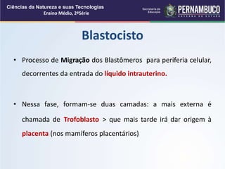 • Processo de Migração dos Blastômeros para periferia celular,
decorrentes da entrada do líquido intrauterino.
• Nessa fase, formam-se duas camadas: a mais externa é
chamada de Trofoblasto > que mais tarde irá dar origem à
placenta (nos mamíferos placentários)
Blastocisto
Ciências da Natureza e suas Tecnologias
Ensino Médio, 2ªSérie
 