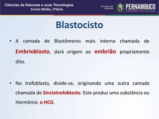 • A camada de Blastômeros mais interna chamada de
Embrioblasto, dará origem ao embrião propriamente
dito.
• No trofoblasto, divide-se, originando uma outra camada
chamada de Sinciotrofoblasto. Este produz uma substância ou
Hormônio: o HCG.
Blastocisto
Ciências da Natureza e suas Tecnologias
Ensino Médio, 2ªSérie
 