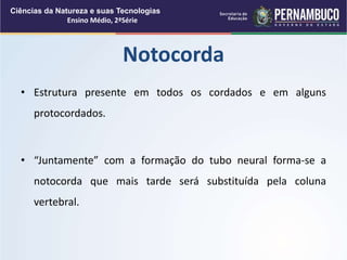 • Estrutura presente em todos os cordados e em alguns
protocordados.
• “Juntamente” com a formação do tubo neural forma-se a
notocorda que mais tarde será substituída pela coluna
vertebral.
Notocorda
Ciências da Natureza e suas Tecnologias
Ensino Médio, 2ªSérie
 