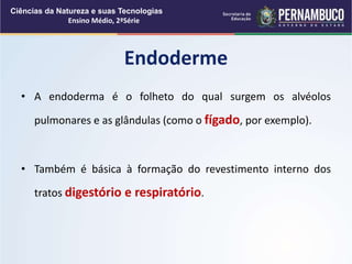• A endoderma é o folheto do qual surgem os alvéolos
pulmonares e as glândulas (como o fígado, por exemplo).
• Também é básica à formação do revestimento interno dos
tratos digestório e respiratório.
Endoderme
Ciências da Natureza e suas Tecnologias
Ensino Médio, 2ªSérie
 