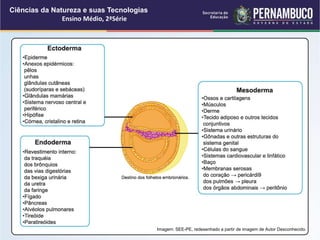 Ciências da Natureza e suas Tecnologias
Ensino Médio, 2ªSérie
Imagem: SEE-PE, redesenhado a partir de imagem de Autor Desconhecido.
 