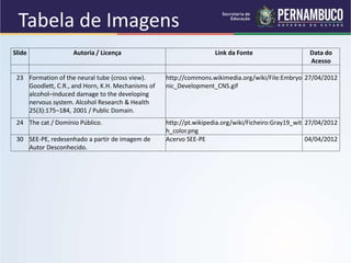 Slide Autoria / Licença Link da Fonte Data do
Acesso
23 Formation of the neural tube (cross view).
Goodlett, C.R., and Horn, K.H. Mechanisms of
alcohol–induced damage to the developing
nervous system. Alcohol Research & Health
25(3):175–184, 2001 / Public Domain.
http://commons.wikimedia.org/wiki/File:Embryo
nic_Development_CNS.gif
27/04/2012
24 The cat / Domínio Público. http://pt.wikipedia.org/wiki/Ficheiro:Gray19_wit
h_color.png
27/04/2012
30 SEE-PE, redesenhado a partir de imagem de
Autor Desconhecido.
Acervo SEE-PE 04/04/2012
Tabela de Imagens
 