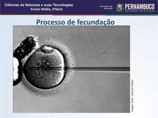 Processo de fecundação
Ciências da Natureza e suas Tecnologias
Ensino Médio, 2ªSérie
Imagem:
Ekem
/
Domínio
Público
 