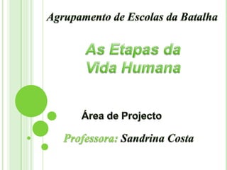 Agrupamento de Escolas da Batalha As Etapas da Vida Humana Área de Projecto Professora: Sandrina Costa 
