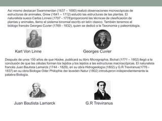 Así mismo destacan Swammerdan (1637 – 1680) realizó observaciones microscópicas de
 estructuras de animales, Grew (1641 – 1712) estudió las estructuras de las plantas. El
 naturalista sueco Carlos Linneo (1707 - 1778)proporcionó las técnicas de clasificación de
 plantas y animales, llamo el sistema binomial escrito en latín clasico. También tenemos al
 biólogo francés Georges Cuvier (1769 - 1832), quien se dedicó a la Taxonomia y paleontología.




       Kart Von Linne                                    Georges Cuvier
Después de unos 150 años de que Hooke, publicará su libro Micrographia, Bichat (1771 – 1802) llegó a la
conclusión de que las células forman los tejidos y los tejidos a las estructuras macroscópicas. El naturalista
francés Juan Bautista Lamarck (1744 - 1829), en su obra Hidrogeología (1802) y G.R Treviranus(1776 -
1837) en su obra Biologie Oder Philophie der leveden Natur (1802) introdujeron independientemente la
palabra Biología.




      Juan Bautista Lamarck                                G.R Treviranus
 