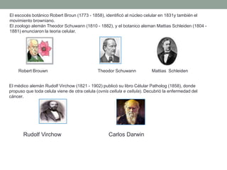 El escocés botánico Robert Broun (1773 - 1858), identificó al núcleo celular en 1831y también el
movimiento browniano.
El zoologo alemán Theodor Schuwann (1810 - 1882), y el botanico aleman Mattias Schleiden (1804 -
1881) enunciaron la teoria celular.




    Robert Brouwn                             Theodor Schuwann            Mattias Schleiden


El médico alemán Rudolf Virchow (1821 - 1902) publicó su libro Célular Patholog (1858), donde
propuso que toda celula viene de otra celula (ovnis cellula e cellula). Decubrió la enfermedad del
cáncer.




       Rudolf Virchow                              Carlos Darwin
 