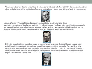 Alexander Ivánovich Oparin, en su libro El origen de la vida sobre la Tierra (1936) dio una explicación de
cómo pudo la materia inorgánica transformarse en orgánica y cómo esta última originó la materia viva.




James Watson y Francis Crack elaboraron un modelo de la estructura del ácido
desoxirribonucleico, molécula que controla todos los procesos celulares tales como la alimentación, la
reproducción y la transmisión de caracteres de padres a hijos. La molécula de DNA consiste en dos
bandas enrolladas en forma de doble hélice, esto es, parecidas a una escalera enrollada.




 Entre los investigadores que observaron el comportamiento animal destaca Honrad Lorenz quien
 estudió un tipo especial de aprendizaje conocido como impresión o impronta. Para verificar si la
 conducta de las aves de seguir a su madre es aprendida o innata, Lorenz graznó y caminó frente a
 unos patitos recién nacidos, mismos que lo persiguieron, aun cuando les brindó la oportunidad de
 seguir a su madre o a otras aves.
 