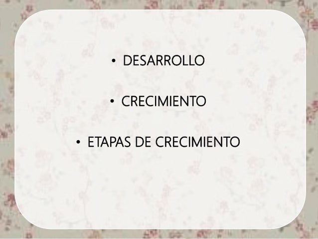 Etapas de crecimiento