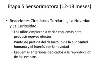 Etapa 5 Sensorimotora (12-18 meses)

• Reacciones Circularías Terciarias, La Novedad
  y La Curiosidad
  – Los niños empiezan a variar esquemas para
    producir nuevos efectos
  – Punto de partida del desarrollo de la curiosidad
    humana y el interés por la novedad
  – Esquemas anteriores dedicados a la reproducción
    de los eventos
 