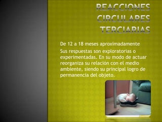 Reacciones circulares terciariasDe 12 a 18 meses aproximadamenteSus respuestas son exploratorias o experimentadas. En su modo de actuar reorganiza su relación con el medio ambiente, siendo su principal logro de permanencia del objeto.