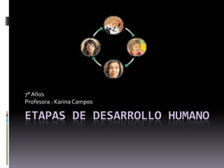 7° Años
Profesora : Karina Campos

ETAPAS DE DESARROLLO HUMANO
 