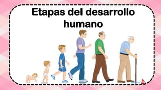 Etapas del desarrollo
humano
 