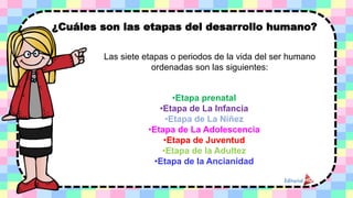 ¿Cuáles son las etapas del desarrollo humano?
•Etapa prenatal
•Etapa de La Infancia
•Etapa de La Niñez
•Etapa de La Adolescencia
•Etapa de Juventud
•Etapa de la Adultez
•Etapa de la Ancianidad
Las siete etapas o periodos de la vida del ser humano
ordenadas son las siguientes:
 