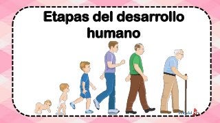 Etapas del desarrollo
humano
 