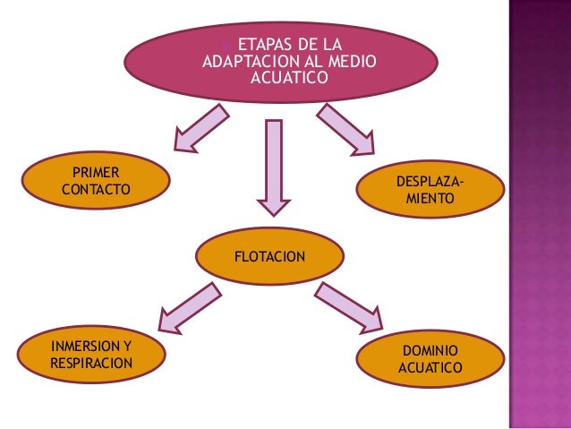 • Se dará todas las indicaciones
para las clases de natación.
• Entrevistaremos al alumno
para realizar un examen
psicológ...