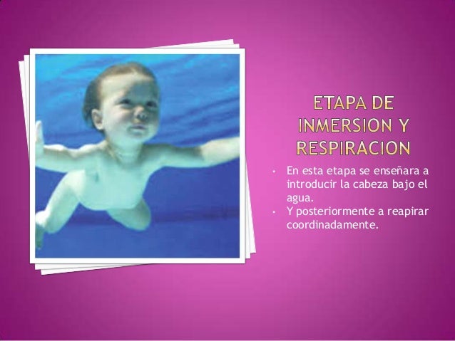 • Cuando lleguemos a ésta
etapa, nuestros alumnos se
encontraran en un completo
dominio en el agua.
• Podrán desplazarse d...