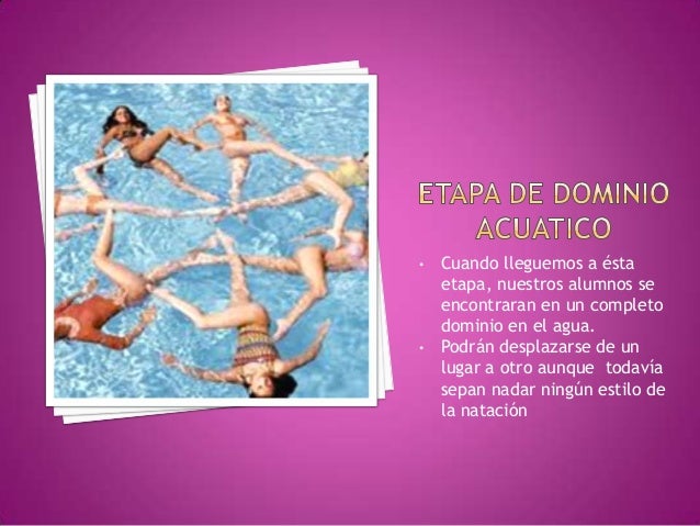 Etapas de la adaptacion al medio acuatico