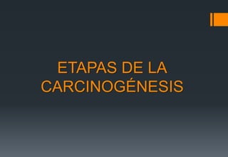 ETAPAS DE LA 
CARCINOGÉNESIS 
 