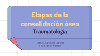 Etapas de la
consolidación ósea
Traumatologia
Tutor: Dr. Miguel Ganem
IPG: Francis Falcon
 