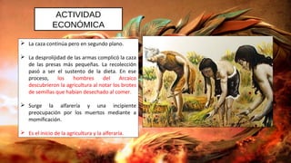 ACTIVIDAD
ECONÓMICA
 La caza continúa pero en segundo plano.
 La desprolijidad de las armas complicó la caza
de las presas más pequeñas. La recolección
pasó a ser el sustento de la dieta. En ese
proceso, los hombres del Arcaico
descubrieron la agricultura al notar los brotes
de semillas que habían desechado al comer.
 Surge la alfarería y una incipiente
preocupación por los muertos mediante a
momificación.
 Es el inicio de la agricultura y la alferaría.
 