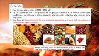 ARCAIC
O Este período abarca entre el 8000 y 1500 a.C.
 y se caracteriza por la adaptación de los grupos humanos a las nuevas condiciones
establecidas por el fin de la última glaciación y la alteración en la flora y la extinción de la
megafauna.
 Esto llevó al descubrimiento de una incipiente agricultura y el paso del nomadismo al
sedentarismo (semi-nómadas).
Algunos cultivos de origen americano conocidos desde el Arcaico: maíz,
yuca, papa, ayote, frijol, camote, tomate, aguacate, chile.
 