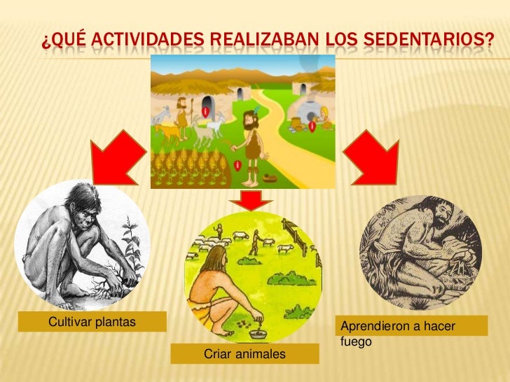 Etapas de la historia 1er grado