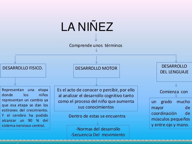 Descubre ¿Cuáles Son Las Etapas De La Infancia? Y Mucho Más – NIDUYM