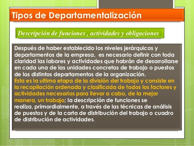 Etapas de la organizacion