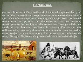 Etapas de la prehistoria | PPT