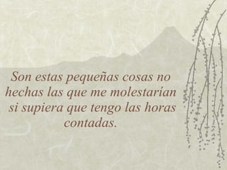 Son estas pequeñas cosas no hechas las que me molestarían  si supiera que tengo las horas contadas. 