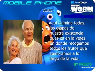 VEJEZ Aquí culmina todas las etapas de nuestra existencia pues es en la vejez en donde recogemos todos los frutos que sembramos a lo largo de la vida.