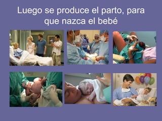 Luego se produce el parto, para que nazca el bebé