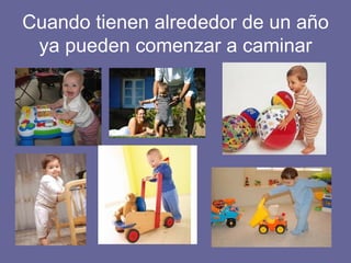Cuando tienen alrededor de un año ya pueden comenzar a caminar